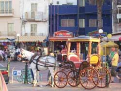Horse Carriage Ride in Bugibba