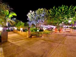 Olive Farmhouse in the Evening