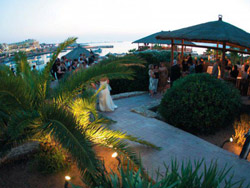 Stand up wedding reception under the Gazebo