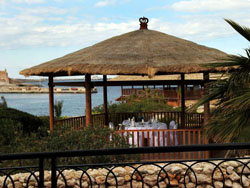 Intimate wedding Meal under the Gazebo