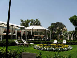 The Palazzo Garden